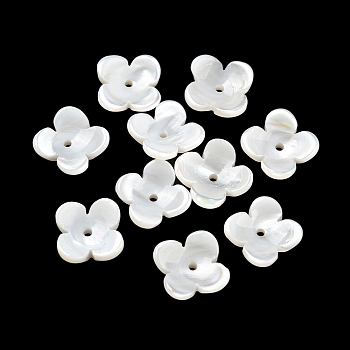 Natural Freshwater Shell Bead Caps, Flower, Seashell Color, 8~8.5x2.5mm, Hole: 1mm
