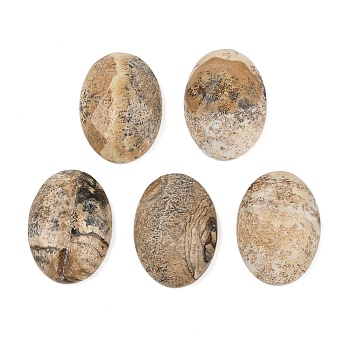 Natural Picture Jasper Cabochons, Oval, 25x18x6.5mm