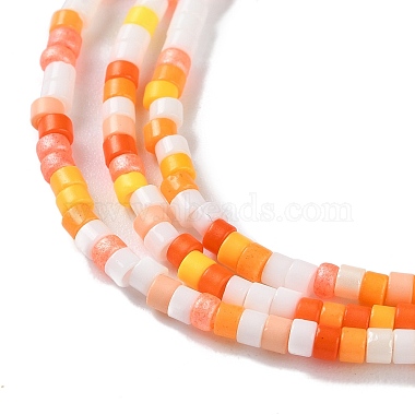 Handmade Czech Lampwork Beads Strands(LAMP-L078-008B)-3