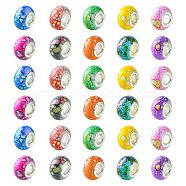100Pcs 10 Colors Opaque Resin European Beads, Imitation Crystal, Two-Tone Large Hole Beads, with Silver Tone Brass Double Cores, Rondelle, Mixed Color, 14x9.5mm, Hole: 5mm, 10pcs/color(RPDL-CJ0001-07)