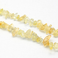 Natural Citrine Stone Bead Strands, Dyed & Heated, Chip, 6~9x6~9x2~4mm, Hole: 1mm, about 240pcs/strand, 34.6 inch(X-G-R224-04)