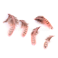 Chicken Feather Costume Accessories, Dyed, Light Coral, 50~115x10~25mm(X-FIND-Q460-05)