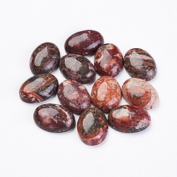 Natural Leopard Skin Jasper Cabochons, Oval, 18x13x5~6mm(X-G-LS18x13x10)