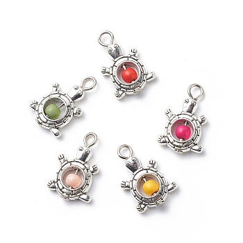 Synthetic Turquoise Dyed Pendants, Antique Silver Plated Alloy Charms, Mixed Color, Tortoise, 20x13x4mm, Hole: 2mm