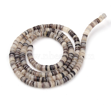 Black Lip Shell Beads Strands(SSHEL-Q300-008)-2