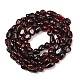 Nautral Garnet Beads Strands(G-H330-B01)-3