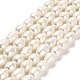 Natural Cultured Freshwater Pearl Beads Strands(PEAR-E016-081)-1