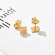 304 Stainless Steel Stud Earrings for Women(STAS-Z117-16G-02)-3