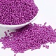 Baking Paint Glass Seed Beads(SEED-US0003-2mm-K21)-1