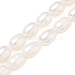 Natural Cultured Freshwater Pearl Beads Strands, Rice, Seashell Color, 7.5~8.3x6~6.7mm, Hole: 0.7~0.8mm, about 23pcs/strand, 7.09 inch(18cm)(PEAR-N012-06J-1)