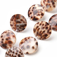 Tiger Cowrie Shell Beads Strands, Flat Round, 25x4.5mm, Hole: 0.5~1mm, about 12pcs/strand, 12.5 inch~13 inch(32~33cm)(BSHE-L037-11)