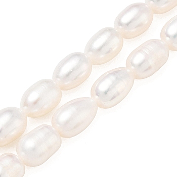 Natural Cultured Freshwater Pearl Beads Strands, Rice, Seashell Color, 7.5~8.3x6~6.7mm, Hole: 0.7~0.8mm, about 23pcs/strand, 7.09 inch(18cm)