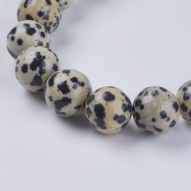 Natural Dalmation Jasper Beads Strands(G-G515-10mm-06)-3