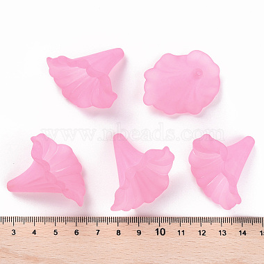 Perles en acrylique transparente(X-BSF796-C10)-6