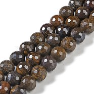 Natural Boulder Opal Beads Strands, Faceted, Round, 10mm, Hole: 1mm, about 41pcs/strand, 15.94''(40.5cm)(G-K364-C01-03)