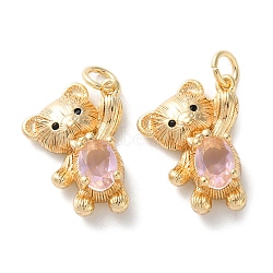 Brass Micro Pave Cubic Zirconia Pendants, with Glass, Bear Charms, with Jump Ring, Real 18K Gold Plated, 19.5x14x5mm, Hole: 3.5mm(KK-C079-10G)