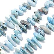 Natural Larimar Beads Strands, Nuggets, Top Drilled, with Seed Beads, 10~41.5x5~12x2~7mm, Hole: 0.8~1.2mm, 16.14~16.54''(41~42cm)(G-G106-J04-01)