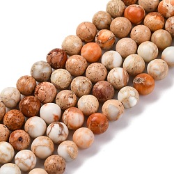 Dyed Natural Regalite/Imperial Jasper/Sea Sediment Jasper Beads Strands, Round, PeachPuff, 6mm, Hole: 1.2mm, about 32pcs/strand, 7.68''(19.5cm)(G-B124-C02-10)