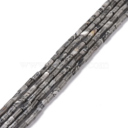 Synthesize Map Stone/Picasso Stone/Picasso Jasper Beads Strands, Undyed, Column, 3.8~4.3x2.4mm, Hole: 0.9mm, about 87pcs/strand, 14.88~15.12 inch(37.8~38.4cm)(G-M389-13)