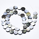 Natural Black Lip Shell Beads(SSHEL-N036-034B-01)-2