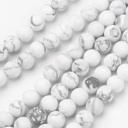 Natural Howlite Beads Strands, Frosted, Round, 8mm, Hole: 1mm, about 47pcs/strand, 15.3 inch(G-D809-16-8mm)