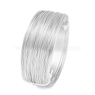 Aluminum Wire, Metallic Thread for Jewelry Making, Round, Silver, 0.7mm, 21 Gauge, about 656.17 Feet(200m)/Roll(AW-NH0001-02B)