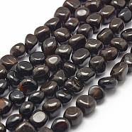 Natural Black Petrified Wood Beads Strands, Chip, 7~9x7~9x3~8mm, Hole: 1mm; about 42~47pcs/strand, 15.7inches(40cm)(G-F464-06)