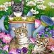 DIY Rectangle Cat Theme Diamond Painting Kits(DIAM-PW0004-012)-1