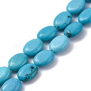 Synthetic Howlite Beads Strands, Flat Oval, Dyed, 13.5~14x10x5mm, Hole: 1.2mm, about 29pcs/strand, 15.55 inch(39.5cm)(G-F783-E01-01)