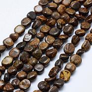 Natural Bronzite Beads Strands, Tumbled Stone, Nuggets, 6~13x6~8mm, Hole: 1mm, 15.3 inch~15.7 inch(39~40cm)(G-K203-33)