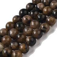 Natural Chiastolite Beads Strands, Round, 8mm, Hole: 1.2mm, about 51pcs/strand, 16.06''(40.8cm)(G-Q161-A03-03)