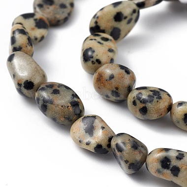 dalmatien naturelle perles de jaspe brins(X-G-B039-03A)-3