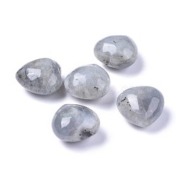 Natural Labradorite Heart Love Palm Worry Stone, Healing Crystal, 20x20x13~13.5mm(G-F659-B10)