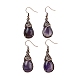 Natural Amethyst Teardrop Dangle Earrings(EJEW-B055-01R-21)-1