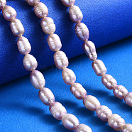 Natural Cultured Freshwater Pearl Beads Strands, Rice, Rosy Brown, 7~13x7~8mm, Hole: 0.8mm, about 32~40pcs/strand, 12.99 inch(PEAR-N012-07H)