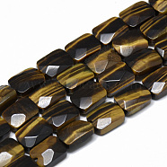 Natural Tiger Eye Bead Strands, Faceted, Rectangle, 11x8x5mm, Hole: 1mm, about 18pcs/strand, 7.8 inch(G-T072-01)
