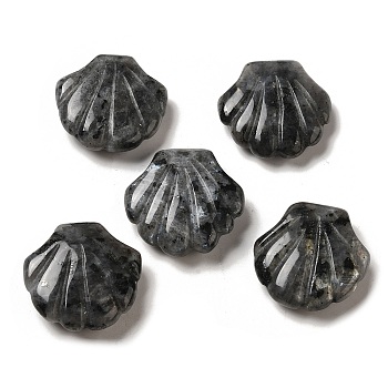 Natural Larvikite Carved Healing Shell Figurines, Reiki Energy Stone Display Decorations, 30~30.5x30x8~8.5mm