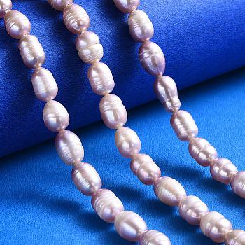 Natural Cultured Freshwater Pearl Beads Strands, Rice, Rosy Brown, 7~13x7~8mm, Hole: 0.8mm, about 32~40pcs/strand, 12.99 inch