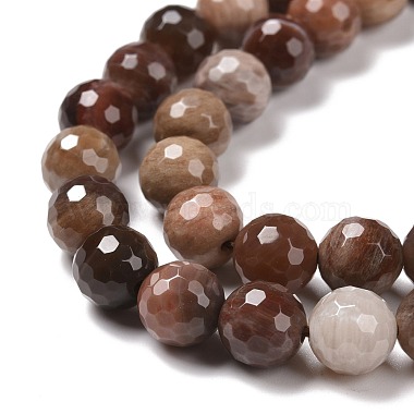 Chapelets de perles en bois pétrifié naturel(G-E571-27B)-4