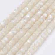 Natural Shell Beads Strands, Round, Faceted, Round, 2mm, Hole: 0.5mm, about 260pcs/strand, 15.7 inch(40cm)(G-E354-03)