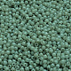 perles de verre tchèques(GLAA-F101-A08)-1