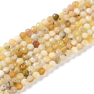 Natural Yellow Opal Beads Strands, Faceted, Round, 3~3.5mm, Hole: 0.7mm, about 115~140pcs/strand, 14.96~15.43''(38~39.2cm)(G-G139-A04-02)