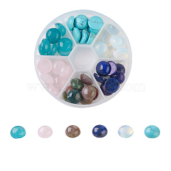 Natural Rose Quartz & Lapis Lazuli & Indian Agate & White Jade & Opalite & Synthetic Turquoise Cabochons, Half Round/Dome, 12x5mm, about 8pcs/compartment, 48pcs/box(G-JP0001-10-12mm)