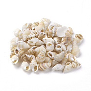 Spiral Shell Home Decorations, No Hole, Light Goldenrod Yellow, 10~14x5~7x5~7mm(BSHE-PH0001-08)