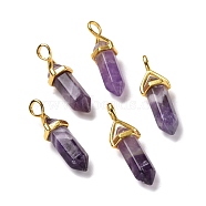 Natural Amethyst Pendants, Faceted, with Golden Tone Brass Findings, Lead free & Cadmium Free, Bullet, 27~30x9~10x7~8mm, Hole: 4x3mm(G-K329-34G)