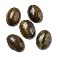 Natural Tiger Iron Cabochons, Oval, 18x13x5~5.5mm(G-C115-01A-28)