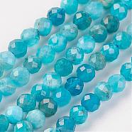 Natural Apatite Bead Strand, Round, Faceted, 2mm, Hole: 0.5mm, about 164pcs/strand, 15.8 inch(40.2cm)(G-G680-11)