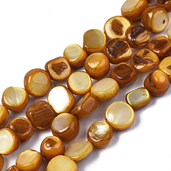 Natural Trochid Shell/Trochus Shell Beads Strands, Dyed, Flat Round, Dark Goldenrod, 5~9x1~6mm, Hole: 0.8mm, about 49~50pcs/strand, 15.16 inch~15.87 inch(38.5cm~40.3cm)(SHEL-S258-083-B09)