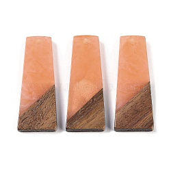 Resin & Wood Pendants, Trapezoid Charms, Light Salmon, 38x15x3.5mm, Hole: 2mm(WOOD-F015-04F)