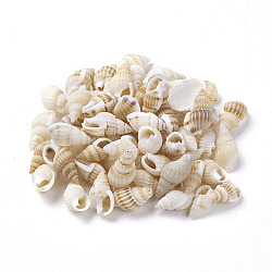 Spiral Shell Home Decorations, No Hole, Light Goldenrod Yellow, 10~14x5~7x5~7mm(BSHE-PH0001-08)